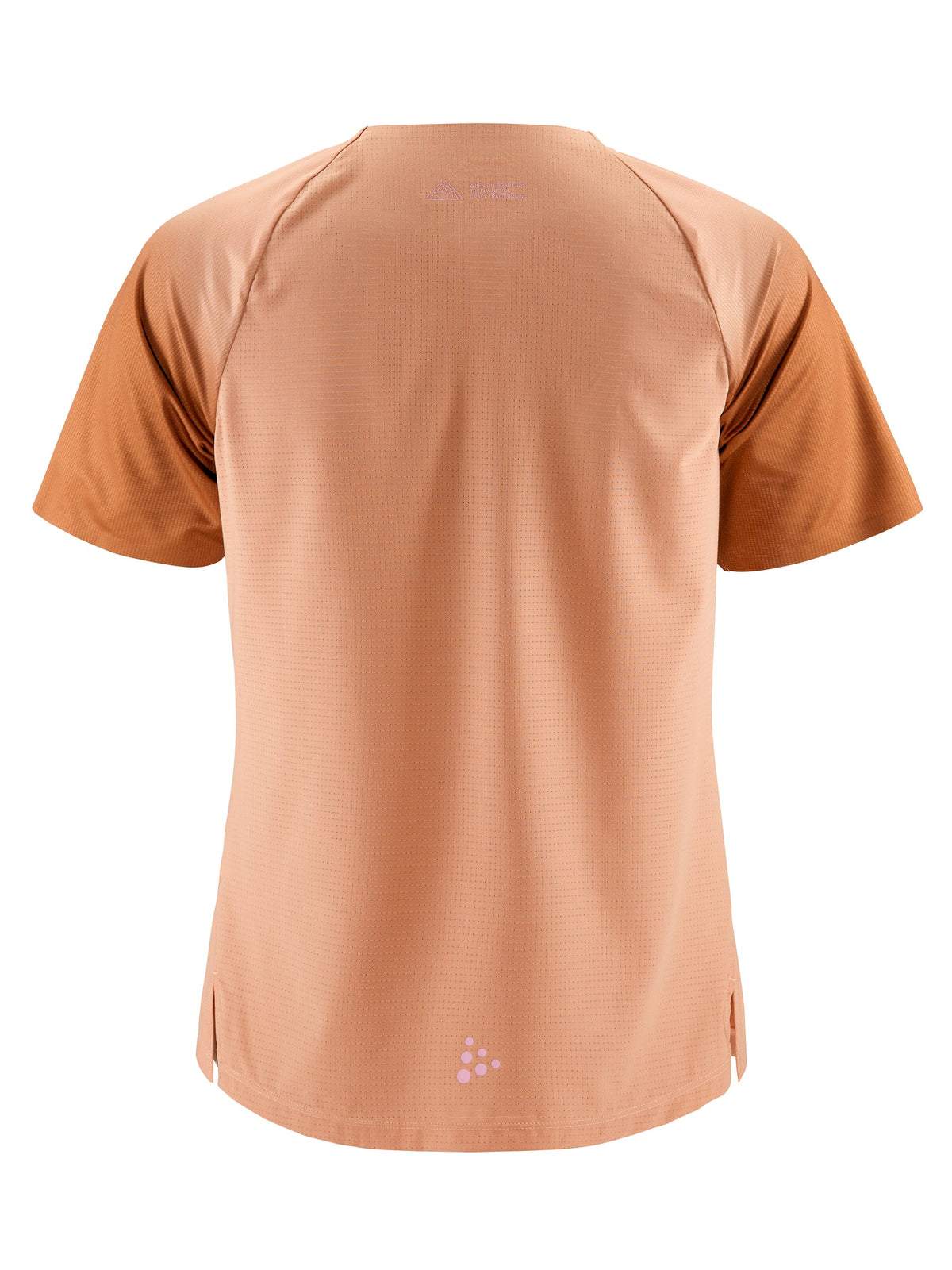 Craft PRO Trail SS Tee Damen in Beige, Rückansicht
