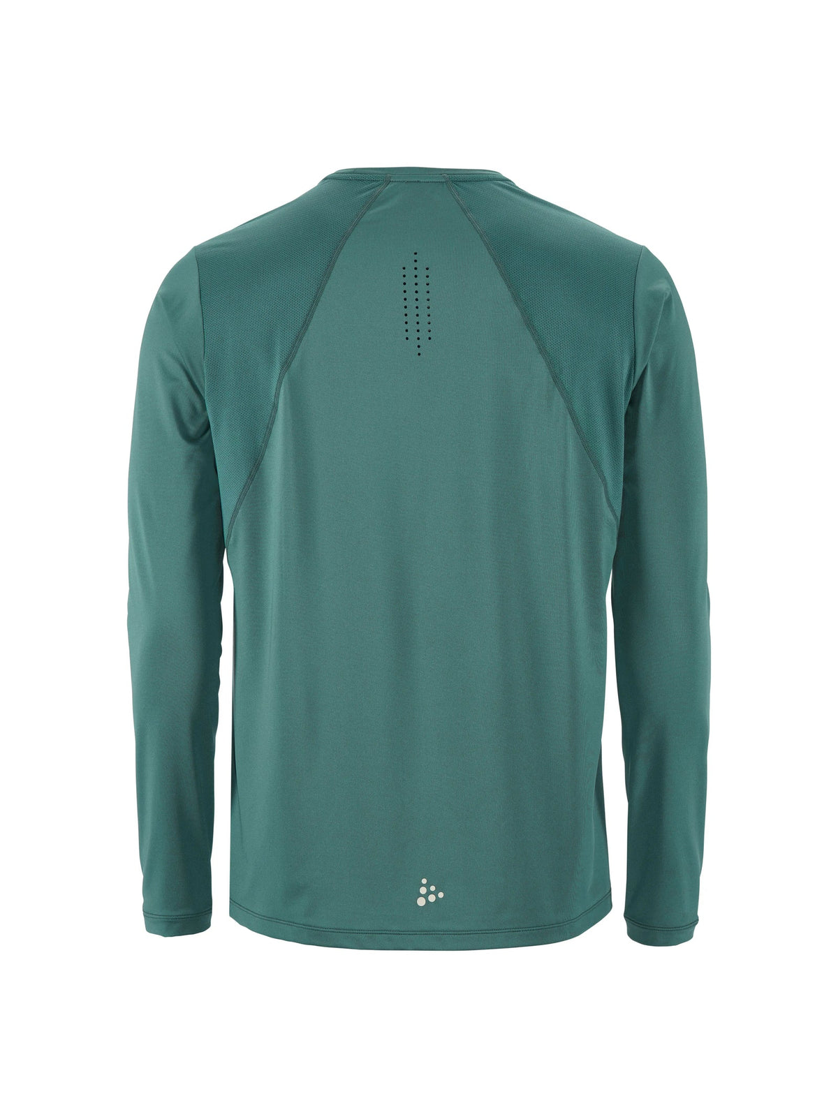 Craft ADV Essence LS Tee 2 Herren in Grün, Rückansicht