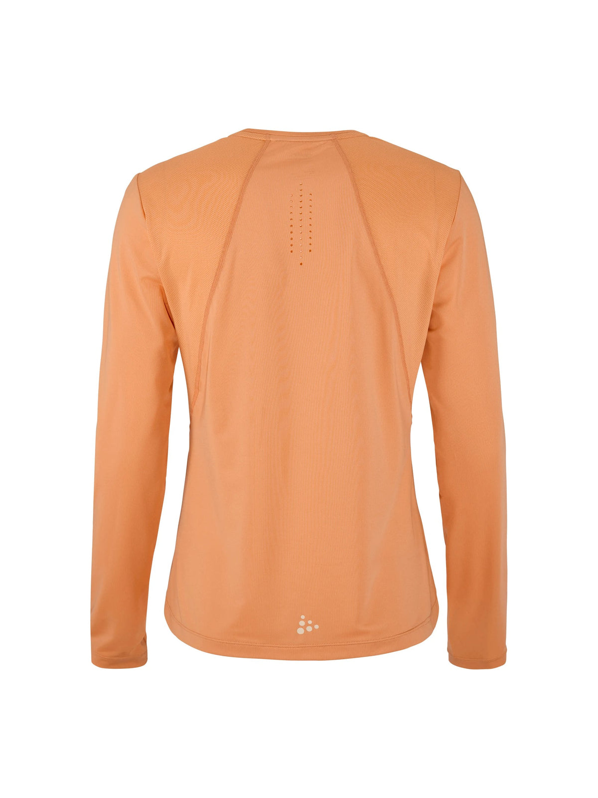 Craft ADV Essence LS Tee 2 Damen in Apricot, Rückansicht