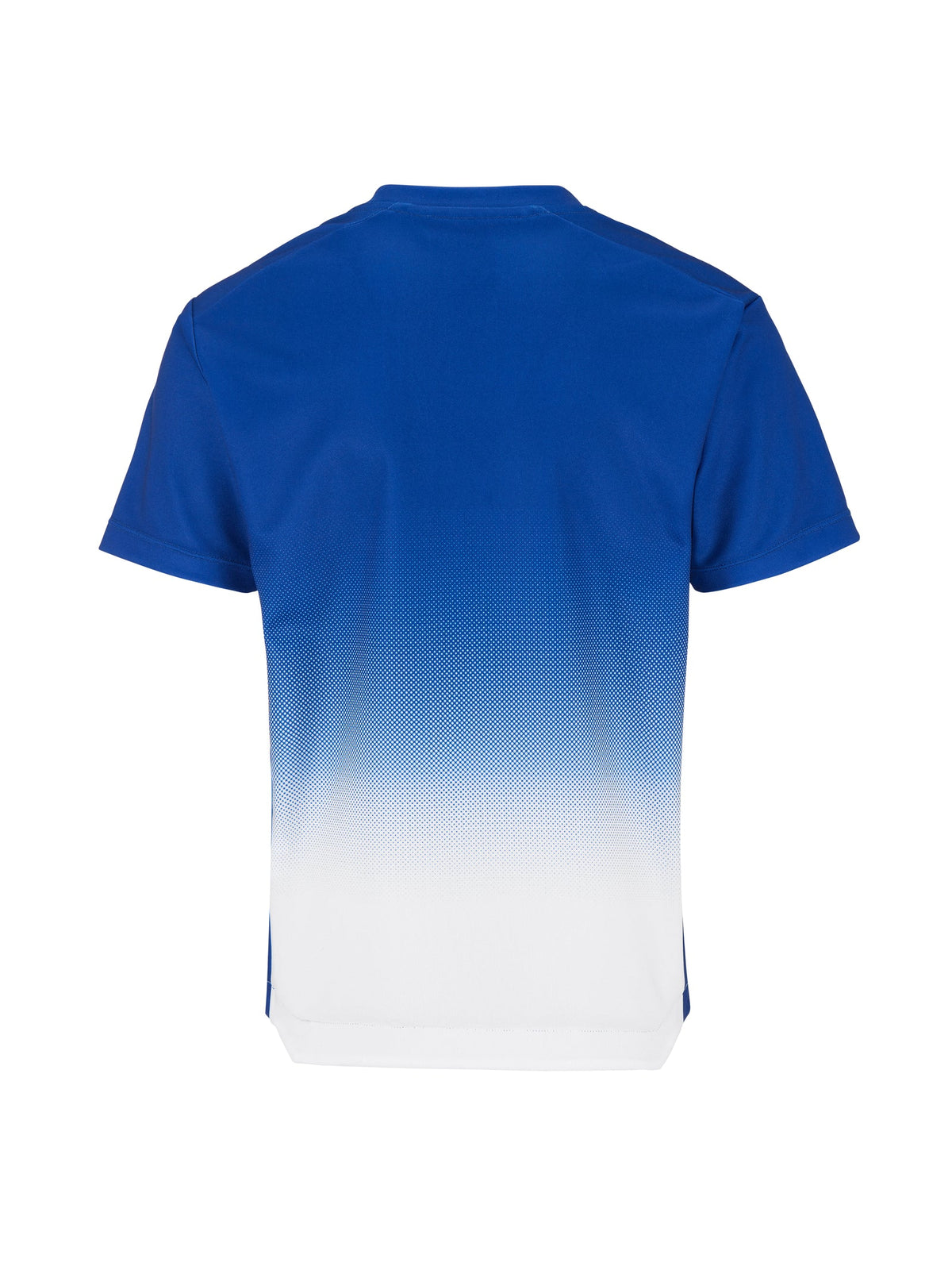 Craft Evolve 2.0 Structured Graphic Jersey Junior in Kobaltblau/Weiss, Rückansicht
