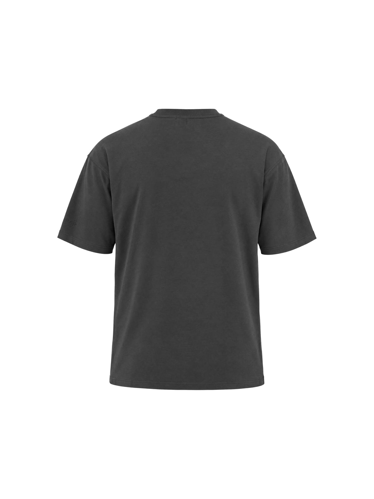 Craft Frequent Heavy SS Tee Herren in Grau, Rückansicht