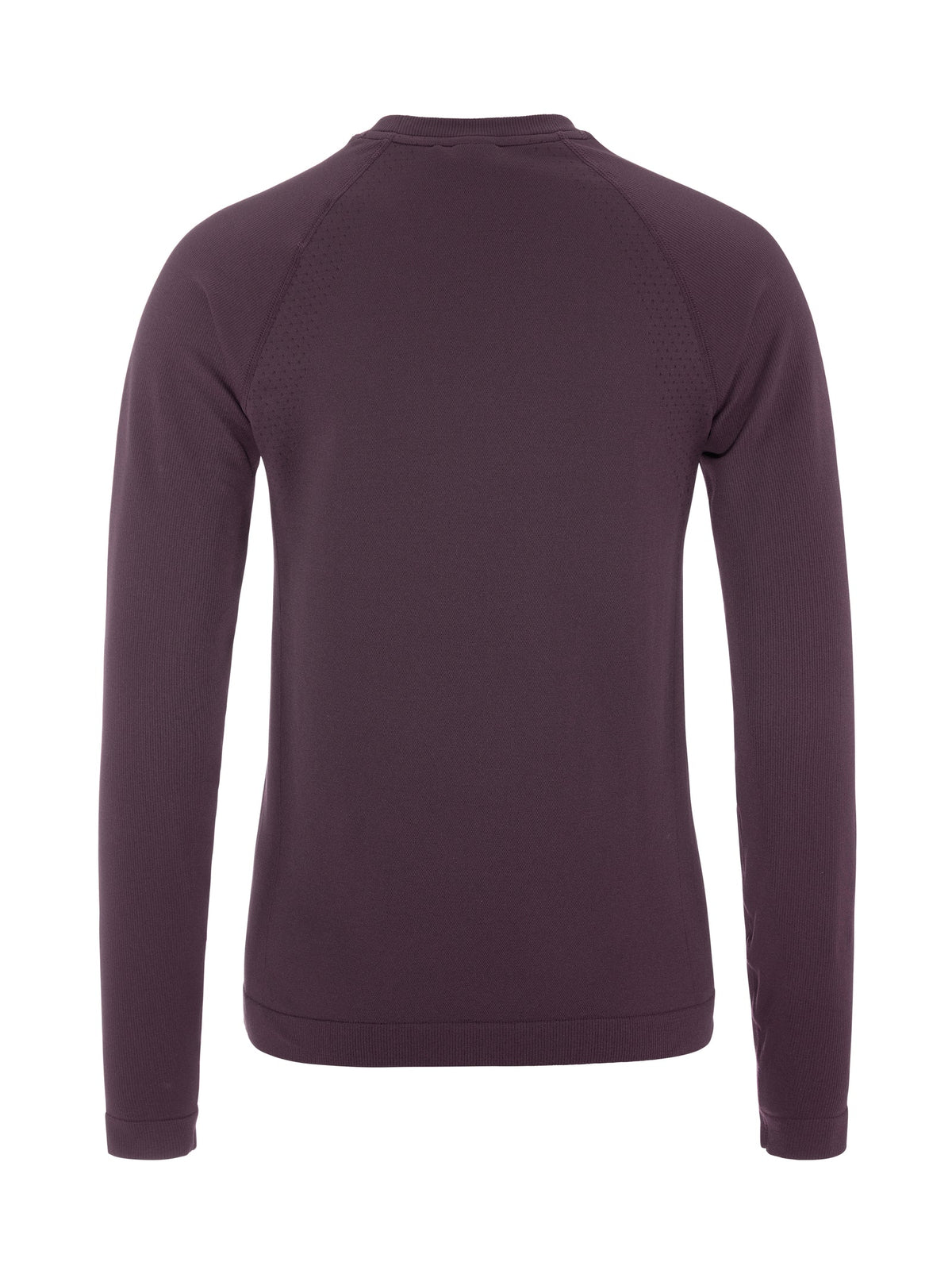 Craft Active Comfort LS 2 Damen in Violett, Rückansicht