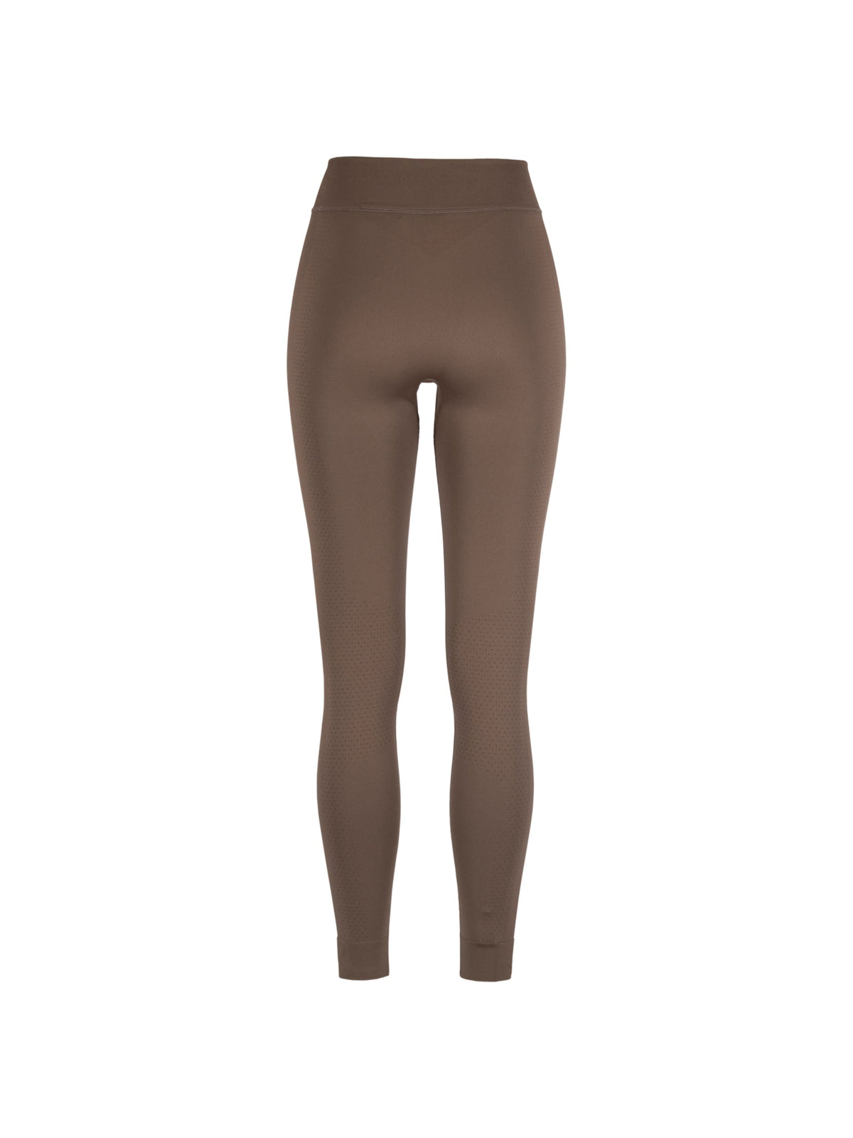 Craft Active Comfort Pants 2 Damen in Braun, Rückansicht