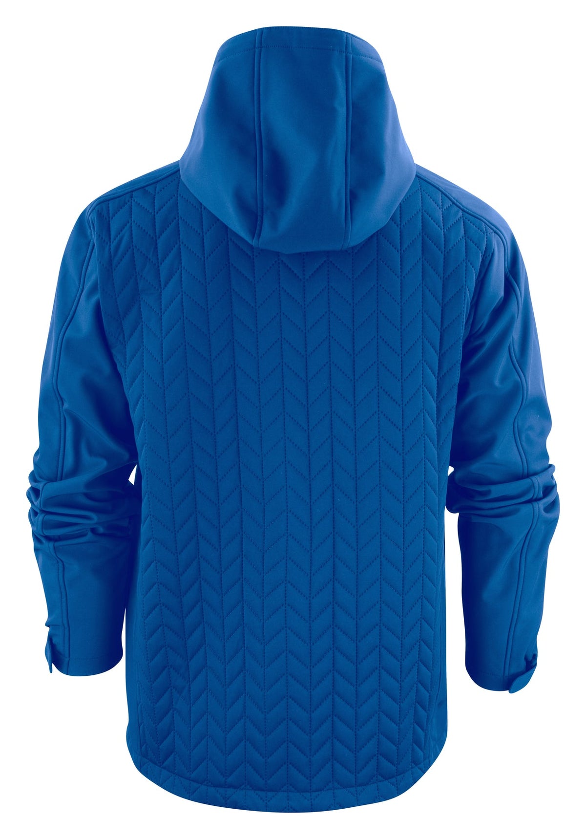 James Harvest Myers Blau sport, Rückansicht