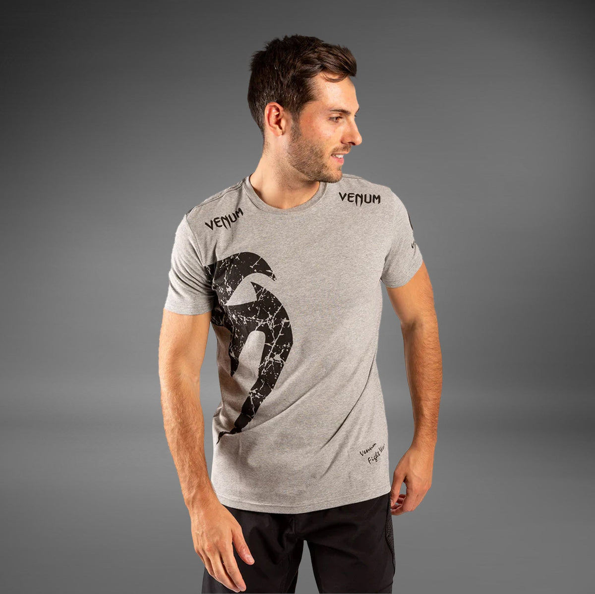 Venum Giant T-Shirt Grau, Vorderansicht