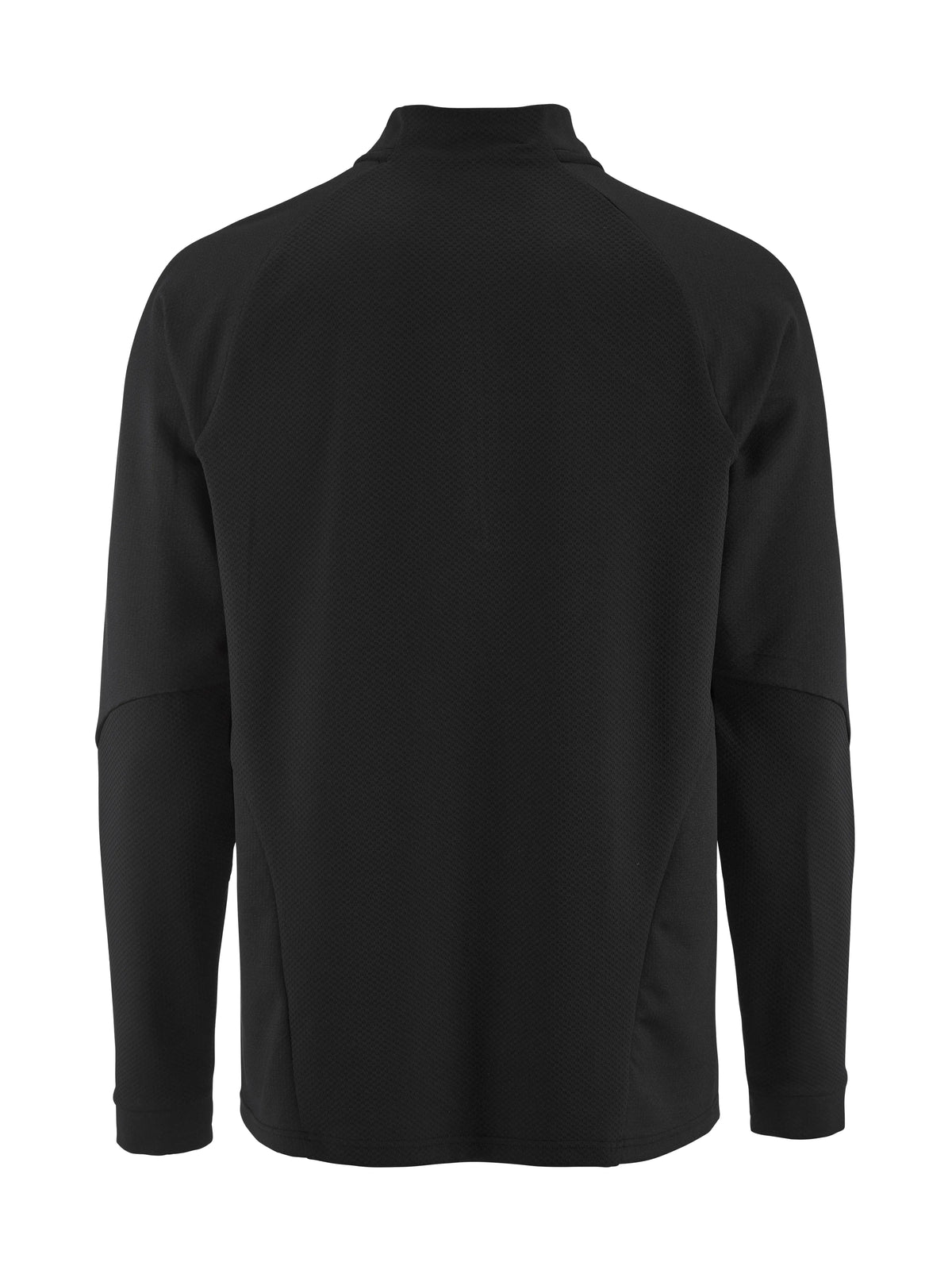 Craft Extend 2.0 Half Zip Herren in Schwarz, Rückansicht