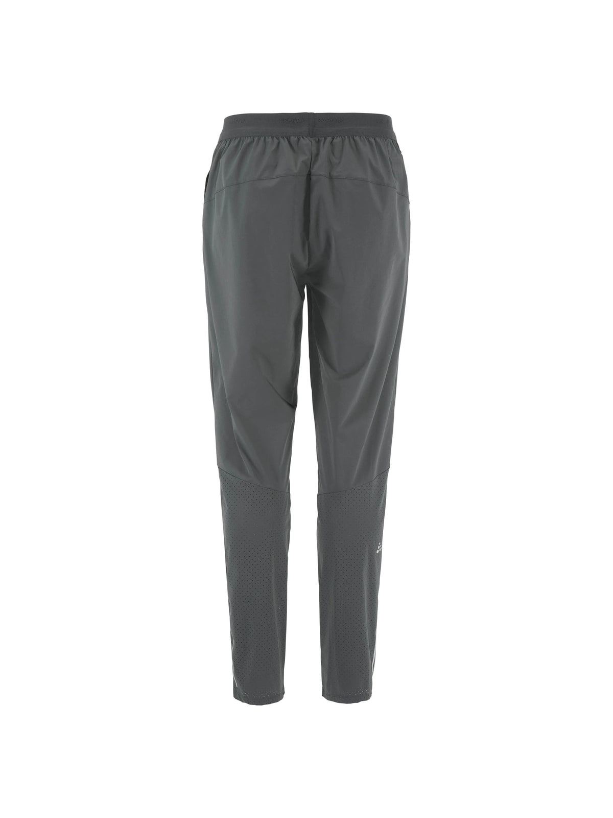 Craft Essence Training Pants 3 Herren in Grau, Rückansicht