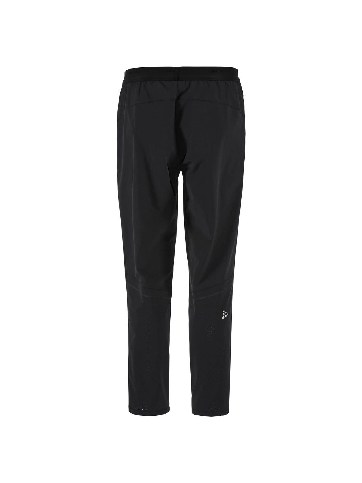 Craft Essence Training Pants 3 Herren in Schwarz, Rückansicht